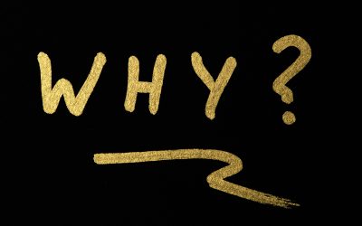 The Why Question