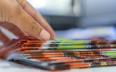 Create a Culture Where Innovation Thrives